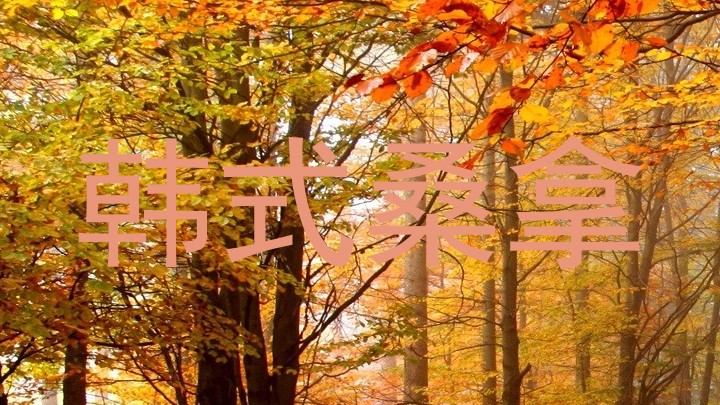 韩式桑拿