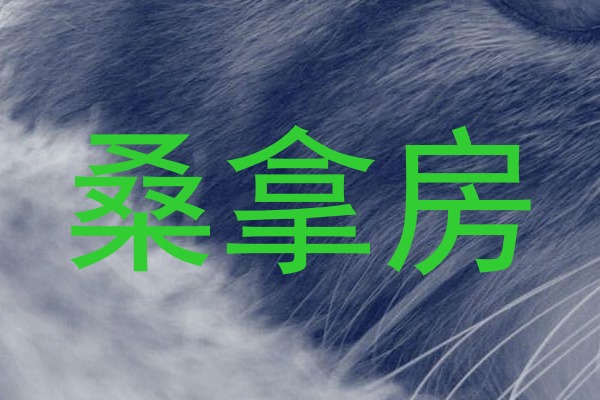 桑拿房