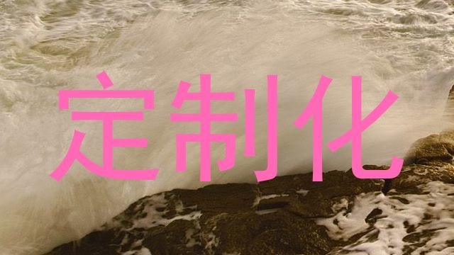 定制化