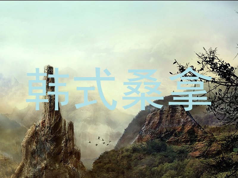韩式桑拿