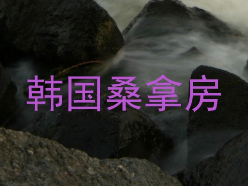 韩国桑拿房