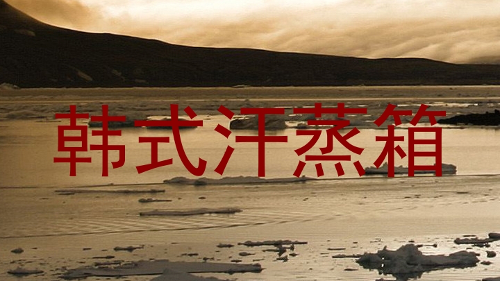 韩式汗蒸箱