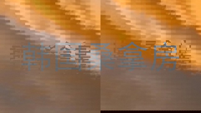 韩国桑拿房