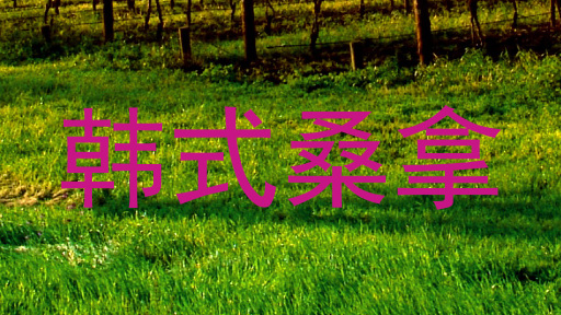 韩式桑拿