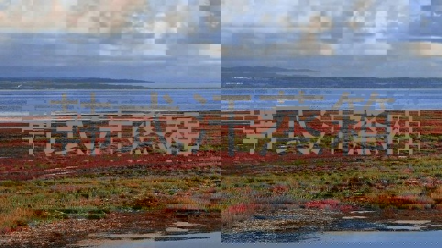 韩式汗蒸箱