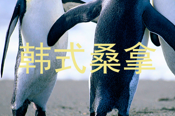 韩式桑拿