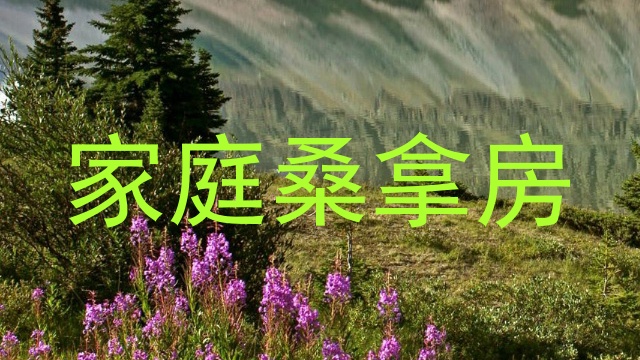 家庭桑拿房