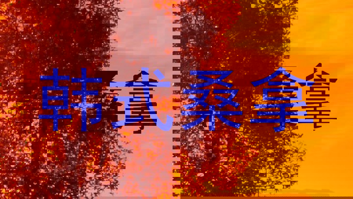韩式桑拿
