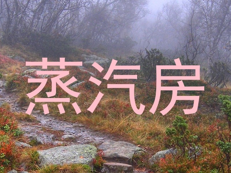 蒸汽房