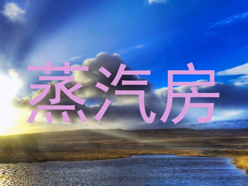 蒸汽房