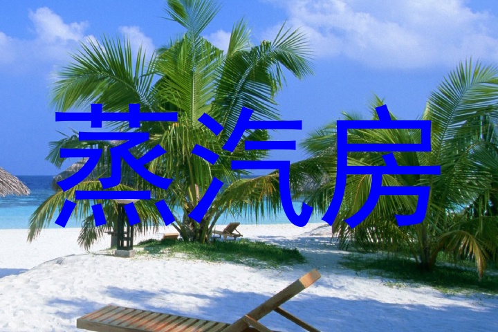 蒸汽房