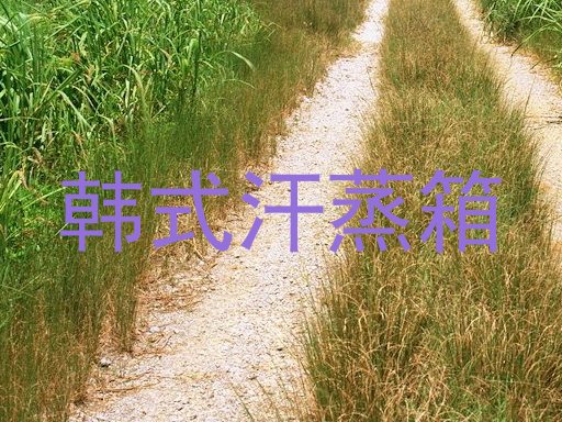 韩式汗蒸箱