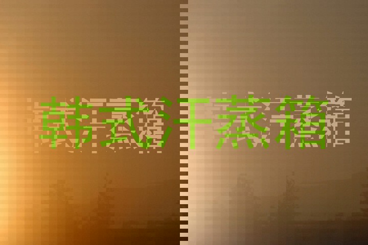 韩式汗蒸箱