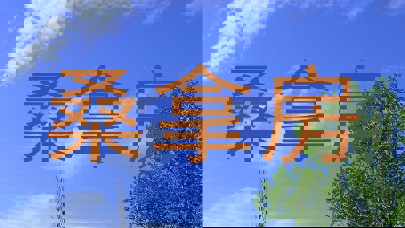 桑拿房