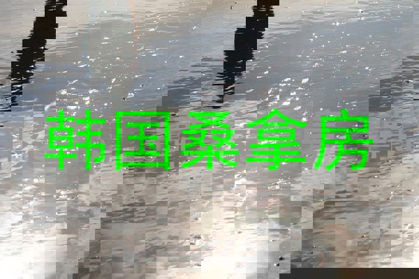 韩国桑拿房