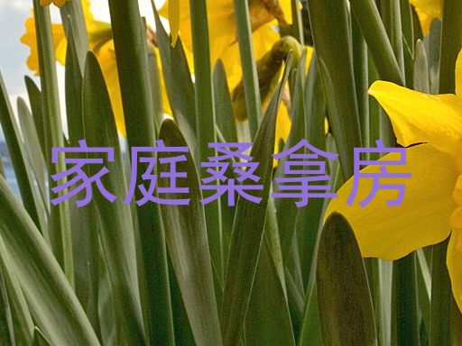 家庭桑拿房