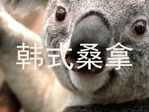 韩式桑拿