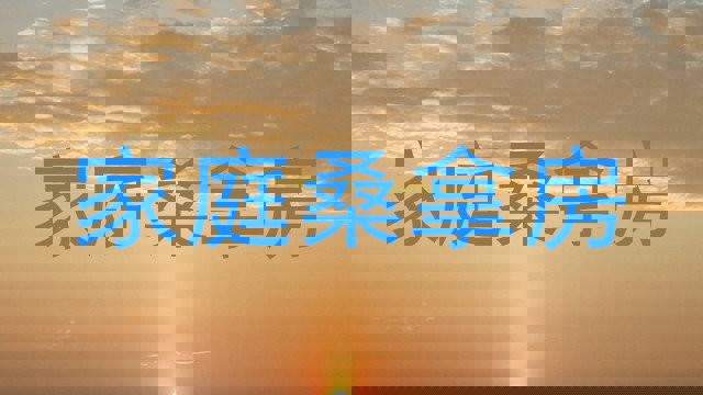家庭桑拿房