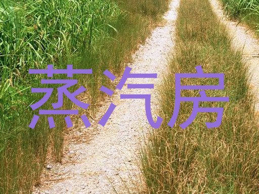 蒸汽房