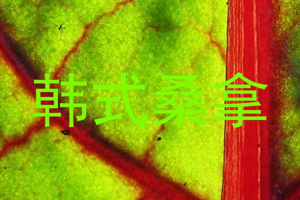 韩式桑拿