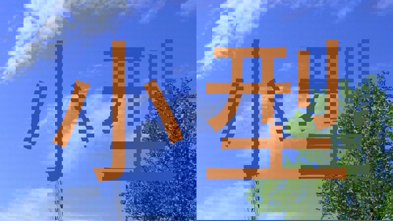 小型