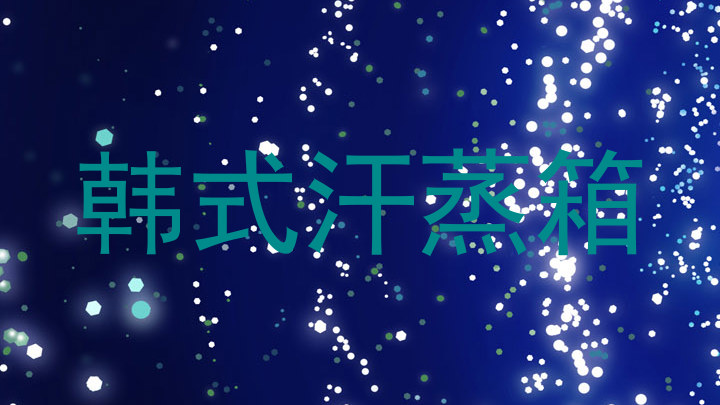 韩式汗蒸箱