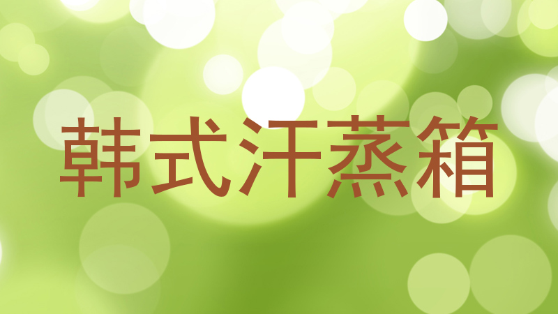 韩式汗蒸箱