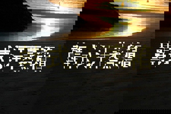 韩式汗蒸箱