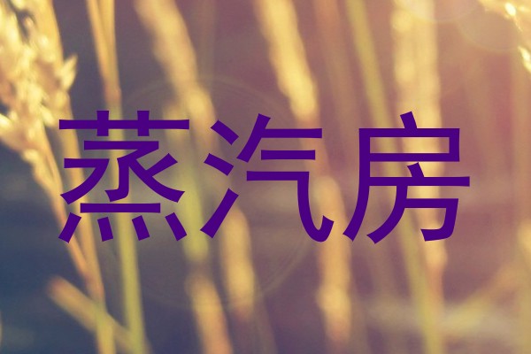 蒸汽房