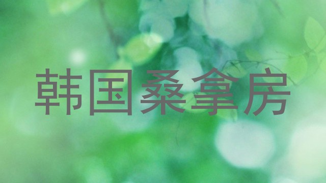 韩国桑拿房
