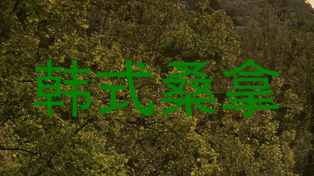 韩式桑拿