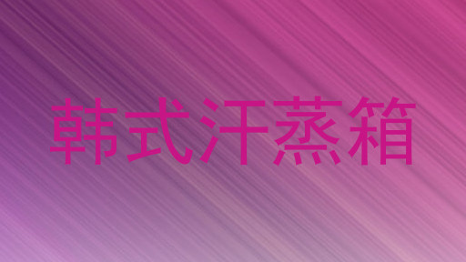 韩式汗蒸箱