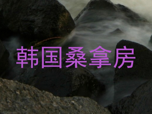 韩国桑拿房