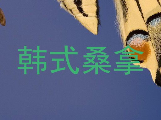 韩式桑拿