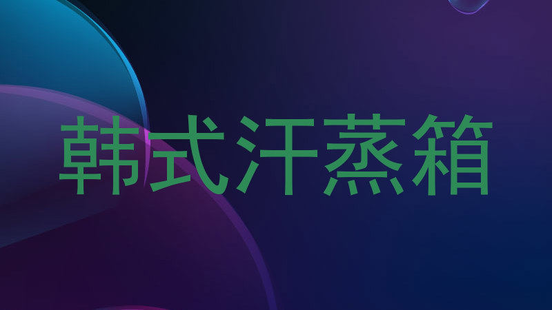 韩式汗蒸箱