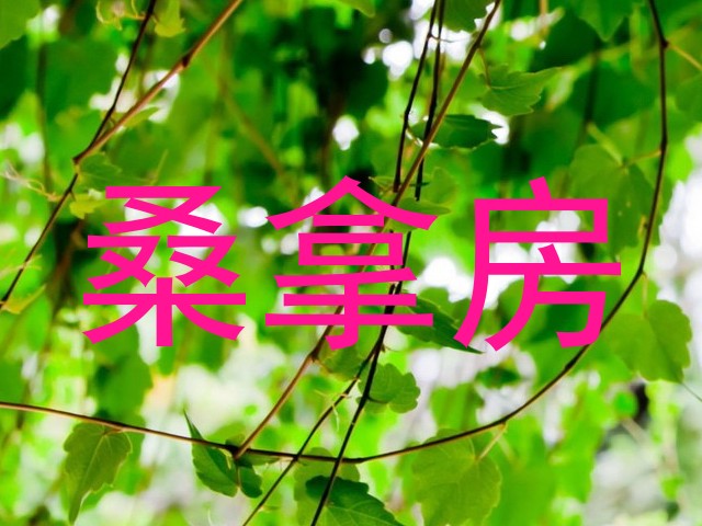 桑拿房