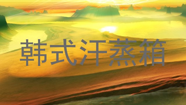 韩式汗蒸箱