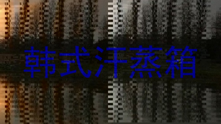 韩式汗蒸箱