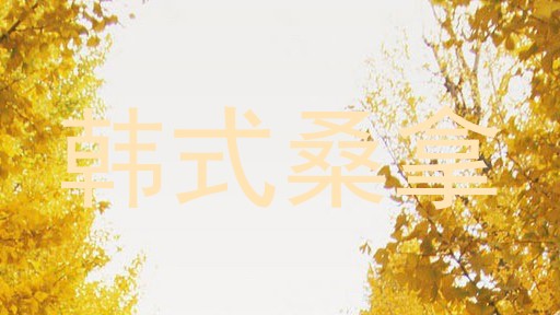 韩式桑拿
