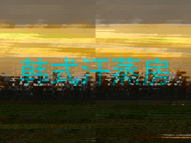 韩式汗蒸房
