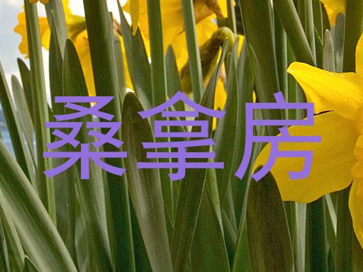 桑拿房