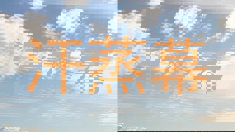 汗蒸幕