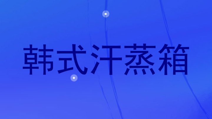 韩式汗蒸箱