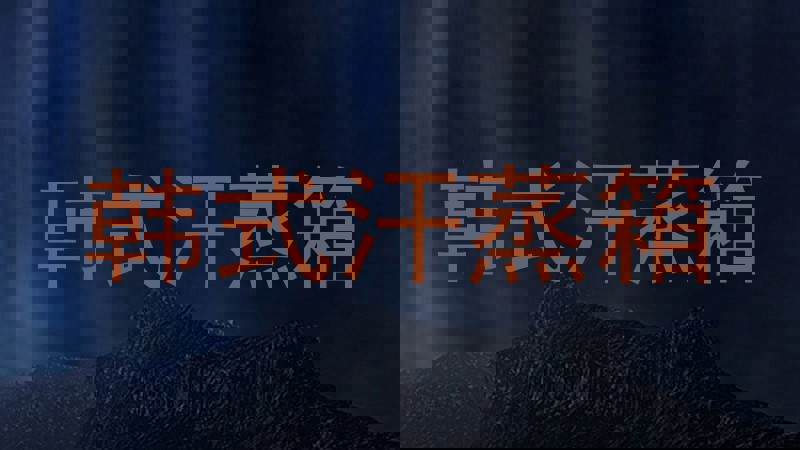 韩式汗蒸箱