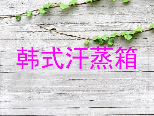 韩式汗蒸箱