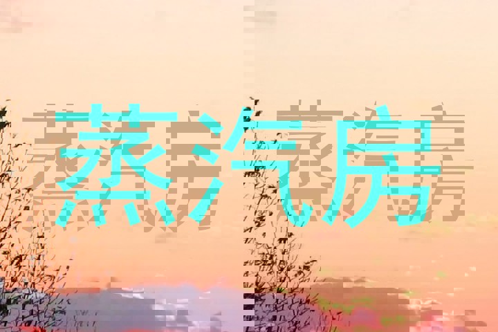 蒸汽房