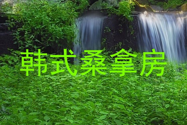 韩式桑拿房