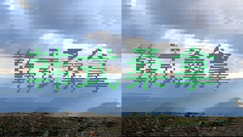 韩式桑拿