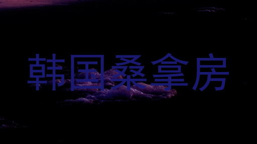 韩国桑拿房
