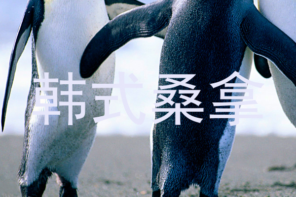 韩式桑拿